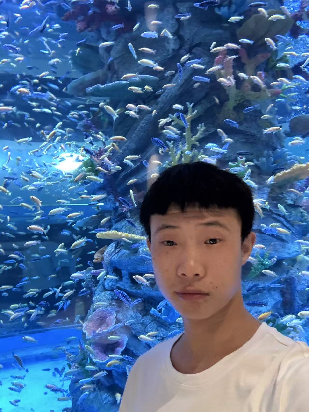 下方有资料照片，挡脸的可以找我看照片哦，相中的私聊我介绍认识99